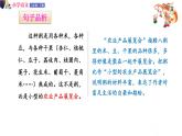 六年级下册语文授课课件 第一单元 1.北京的春节 第二课时 部编版 (共12张PPT)