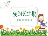 部编版语文五年级上册《我的长生果》课件PPT