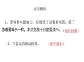 部编版语文五年级上册《我的长生果》课件PPT