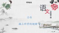 小学人教部编版习作：写作品梗概示范课课件ppt