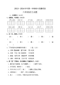 小学六年级语文上册期中检测题