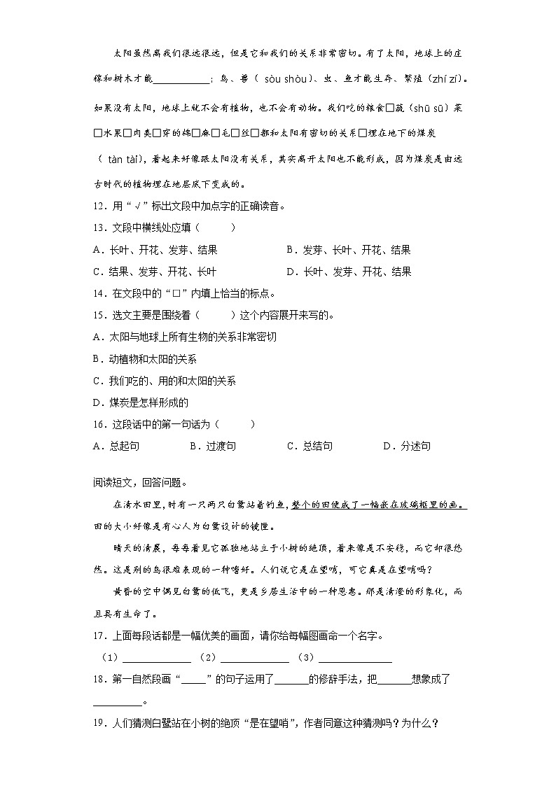 部编版语文五年级上册期末综合复习试题（九）第3页