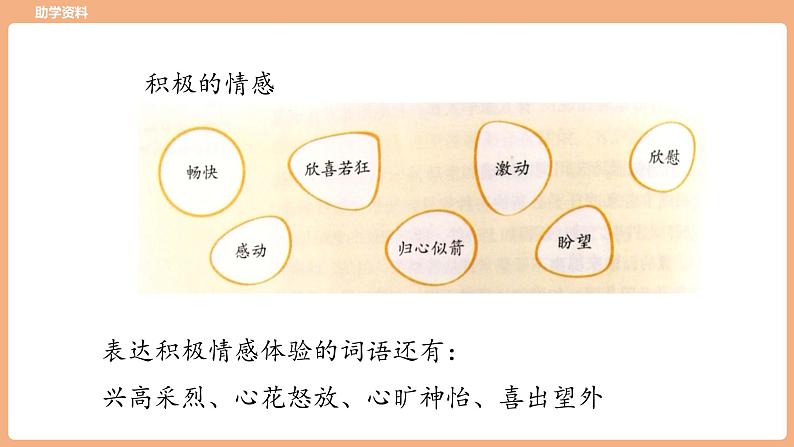 《习作例文与习作》【课件】第5页