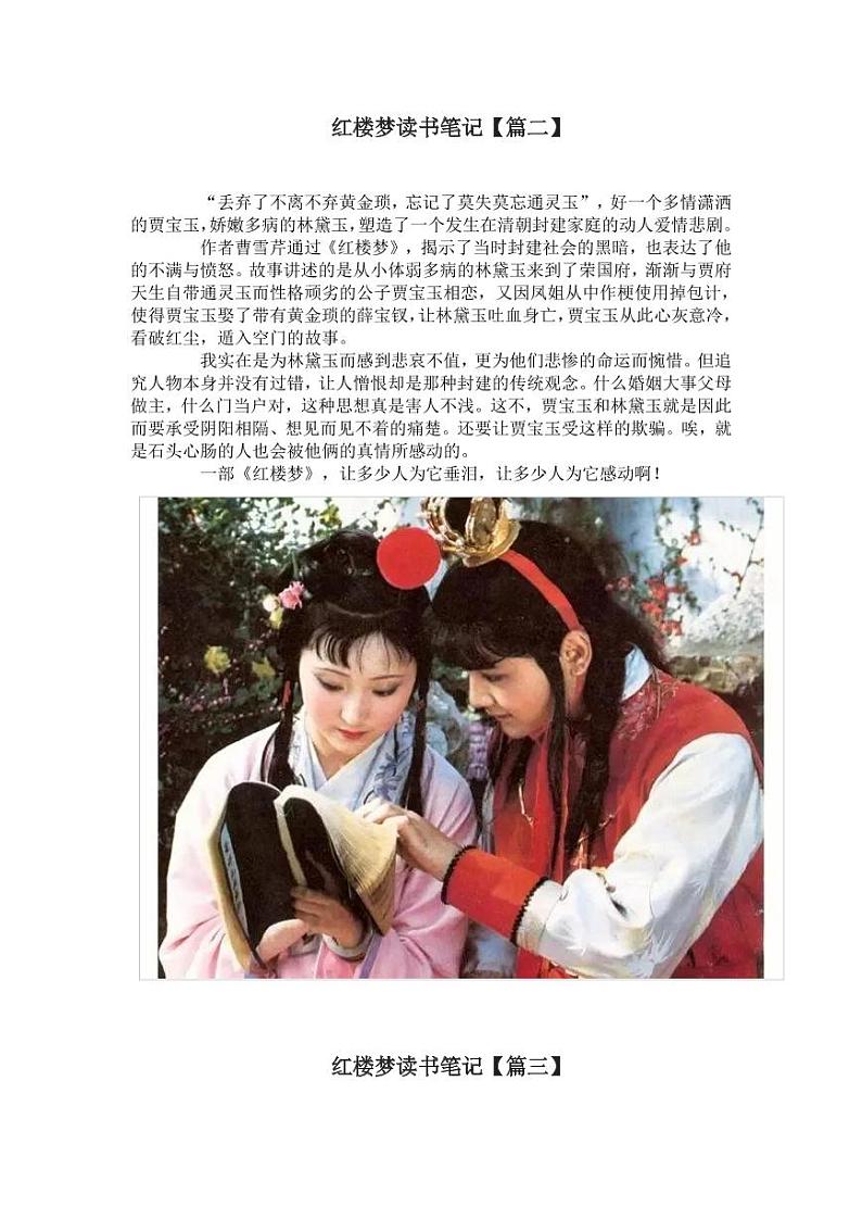 红楼梦读书笔记学案第2页