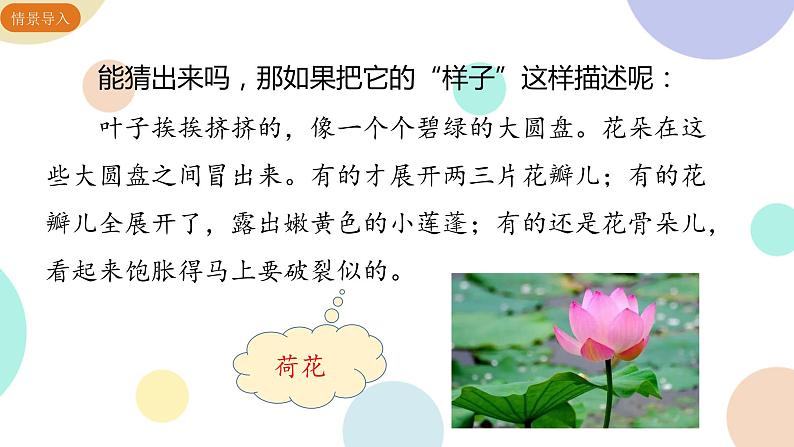 部编版小学语文三年级下册第1单元习作：我的植物朋友　课件05