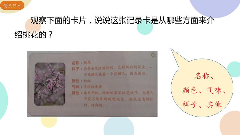 部编版小学语文三年级下册第1单元习作：我的植物朋友　课件07