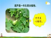 人教部编版二年级语文上册《14 我要的是葫芦》配套教学课件PPT优秀公开课