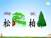 人教部编版二年级语文上册《识字2 树之歌》配套教学课件PPT优秀公开课