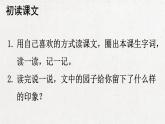部编版 语文五年级下册 2 祖父的园子 课件+视频.pptx