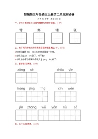 2021学年第二单元单元综合与测试课时训练