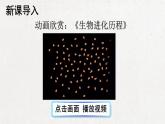 部编版 语文五年级下册 23 童年的发现 课件+视频