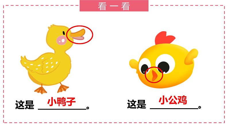 部编版语文一下《小公鸡和小鸭子》第一课时 课件PPT（送教案）03