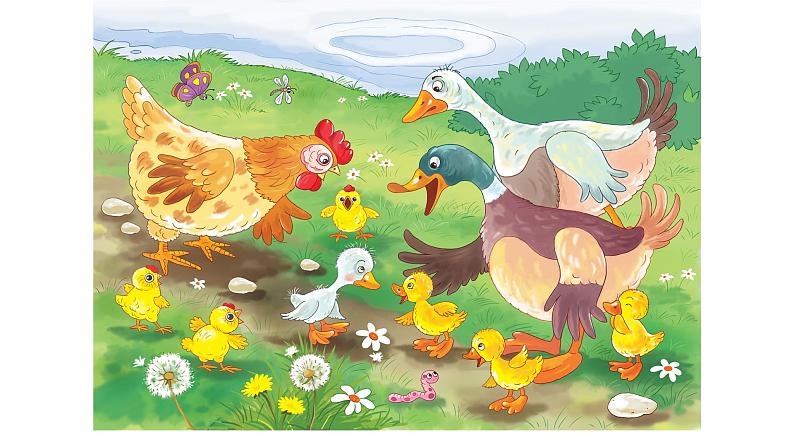 部编版语文一下《小公鸡和小鸭子》第一课时 课件PPT（送教案）04