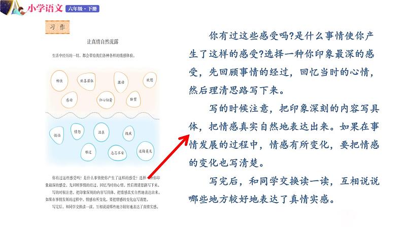 人教版语文六年级下册：第三单元 习作例文+习作：让真情自然流露 部编版 课件05