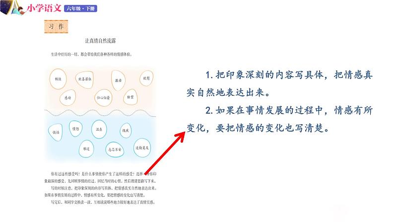 人教版语文六年级下册：第三单元 习作例文+习作：让真情自然流露 部编版 课件06