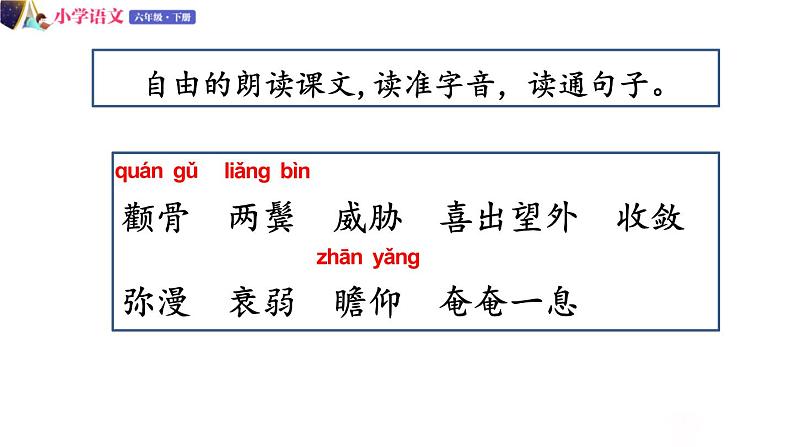 人教版语文六年级下册：第四单元 13.金色的鱼钩 部编版 课件04