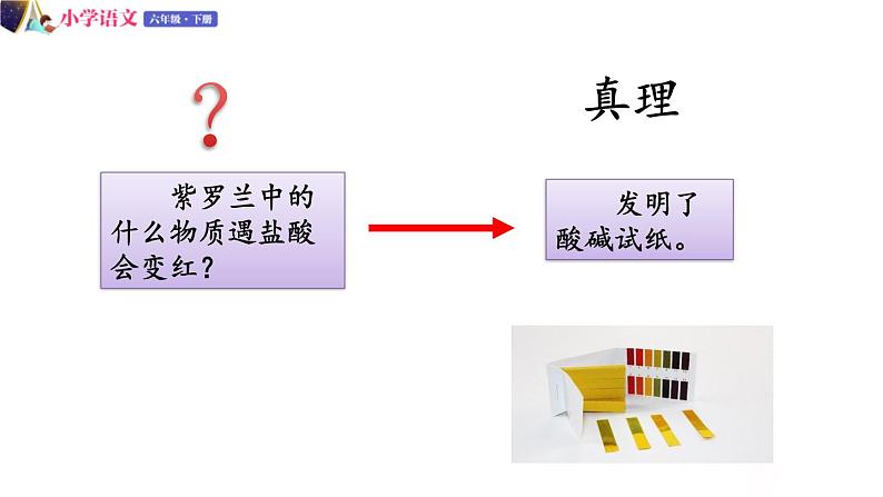 六年级下册语文授课课件 第五单元 15.真理诞生于一百个问号之后 第二课时 部编版第7页