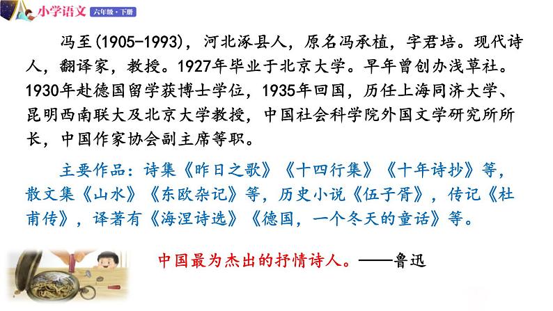 人教版语文六年级下册：第五单元 16.表里的生物 第一课时 部编版 课件03
