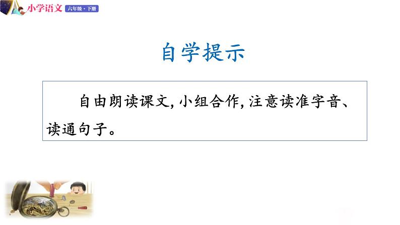 人教版语文六年级下册：第五单元 16.表里的生物 第一课时 部编版 课件04