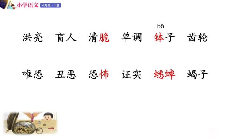 人教版语文六年级下册：第五单元 16.表里的生物 第一课时 部编版 课件05