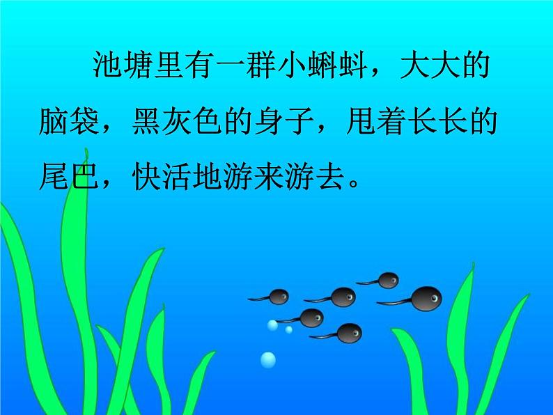 部编版语文二年级上册 1 小蝌蚪找妈妈(31)（课件）06