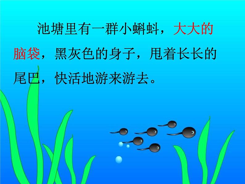 部编版语文二年级上册 1 小蝌蚪找妈妈(31)（课件）07
