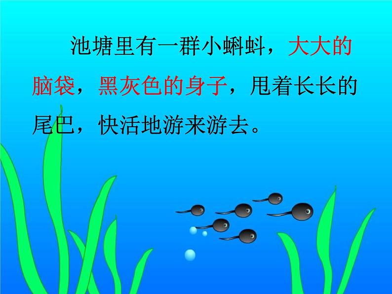 部编版语文二年级上册 1 小蝌蚪找妈妈(31)（课件）08