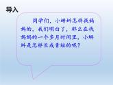 部编版语文二年级上册 1 小蝌蚪找妈妈(23)（课件）