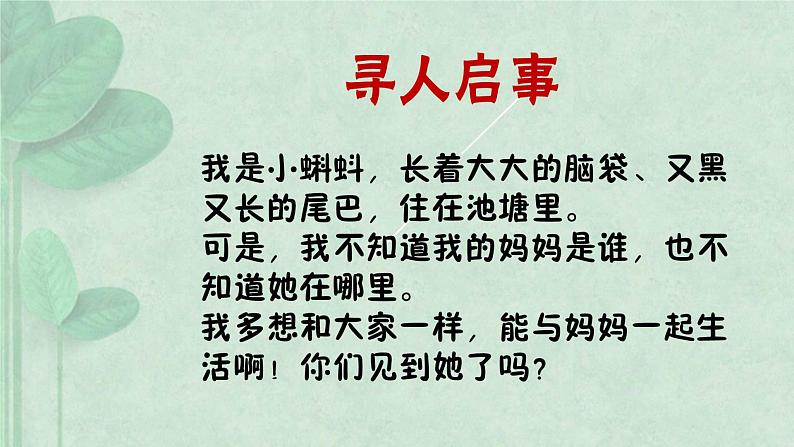 部编版语文二年级上册 1 小蝌蚪找妈妈(7)（课件）第3页