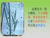 部编版语文二年级上册 1 小蝌蚪找妈妈(9)（课件）