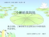 部编版语文二年级上册 1 小蝌蚪找妈妈(10)（课件）