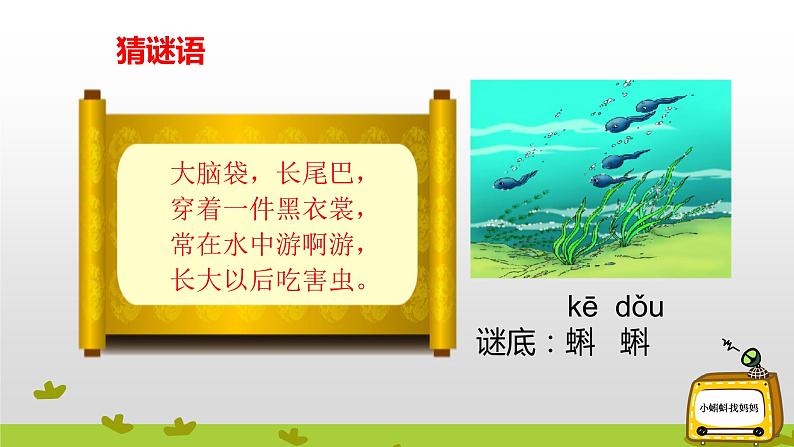 部编版语文二年级上册 1 小蝌蚪找妈妈(40)（课件）第2页