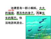 部编版语文二年级上册 1 小蝌蚪找妈妈（第一课时）（课件）