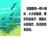部编版语文二年级上册 1 小蝌蚪找妈妈(12)（课件）