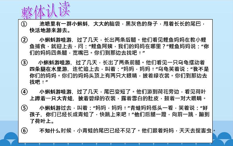 部编版语文二年级上册 1 小蝌蚪找妈妈(29)（课件）03