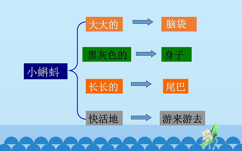 部编版语文二年级上册 1 小蝌蚪找妈妈(29)（课件）05