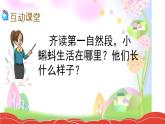 部编版语文二年级上册 1 小蝌蚪找妈妈(35)（课件）