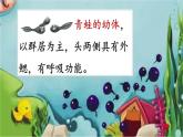 部编版语文二年级上册 1 小蝌蚪找妈妈(6)（课件）