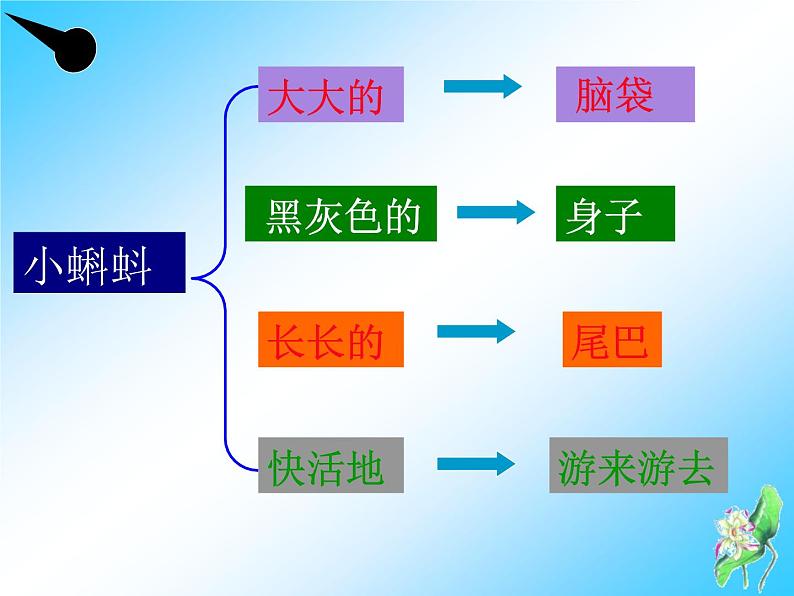 部编版语文二年级上册 1 小蝌蚪找妈妈(2)（课件）第4页