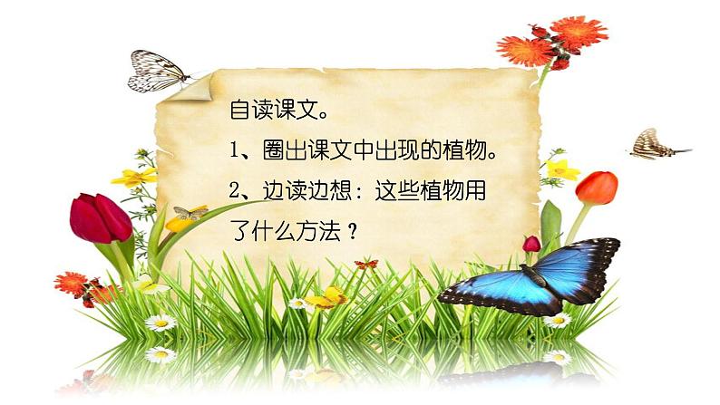 部编版语文二年级上册 3 《植物妈妈有办法》教学(3)（课件）04