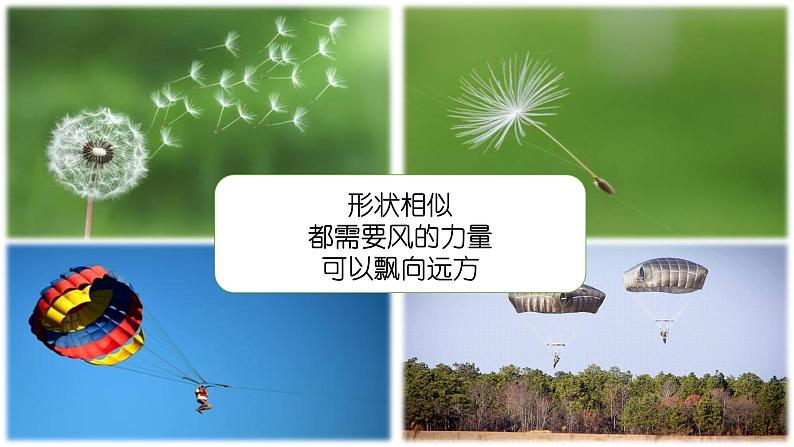 部编版语文二年级上册 3 《植物妈妈有办法》教学(3)（课件）07