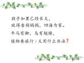 部编版语文二年级上册 3 《植物妈妈有办法》（课件）
