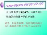 部编版语文二年级上册 3 植物妈妈有办法片段（课件）