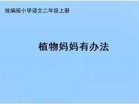 小学语文人教部编版二年级上册课文13 植物妈妈有办法课堂教学ppt课件