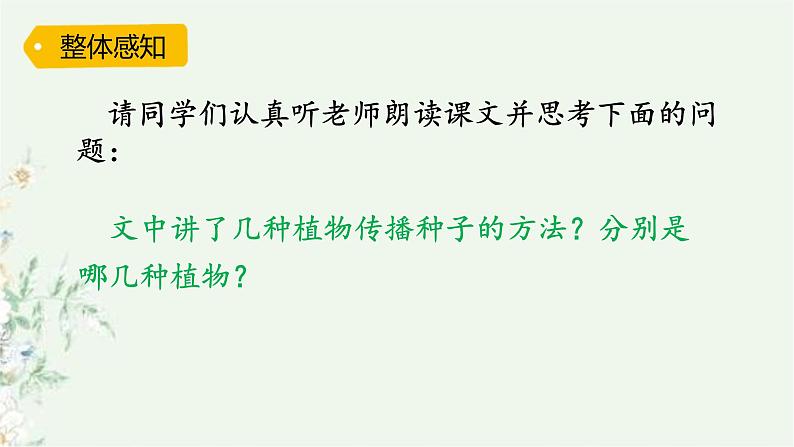 部编版语文二年级上册 3 植物妈妈有办法(17)（课件）第5页