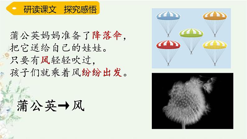 部编版语文二年级上册 3 植物妈妈有办法(17)（课件）第8页