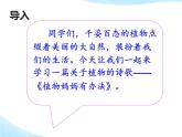 部编版语文二年级上册 3 《植物妈妈有办法》（课件）