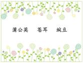 部编版语文二年级上册 3 植物妈妈有办法(19)（课件）