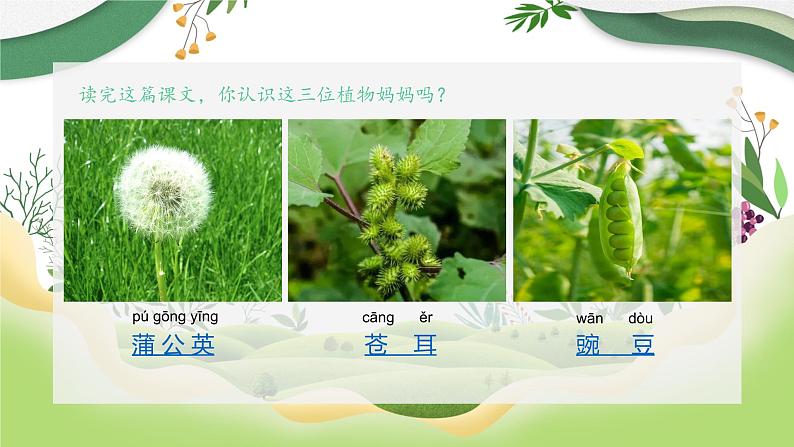 部编版语文二年级上册 3 植物妈妈有办法(33)（课件）第8页