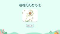 小学语文人教部编版二年级上册课文13 植物妈妈有办法图片课件ppt